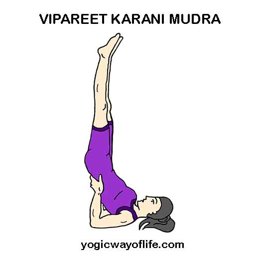 Viparitakarani - Inverted pose - The Yoga Institute