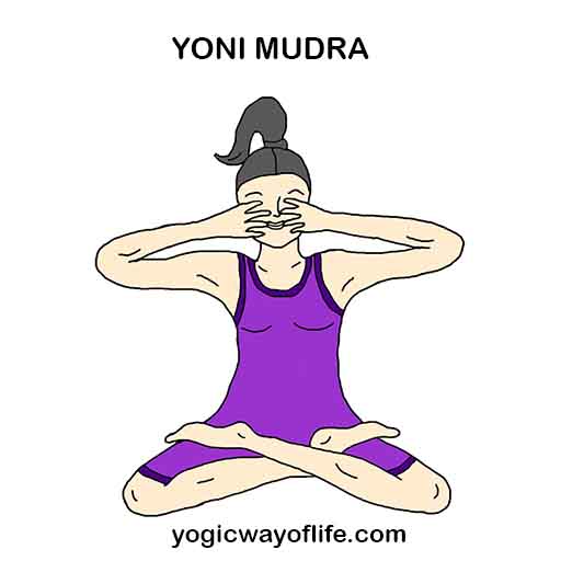 Yoni Mudra