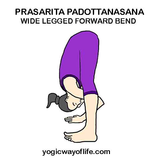 Wide Legged Forward Fold Pose Flow (Prasarita Padottanasana