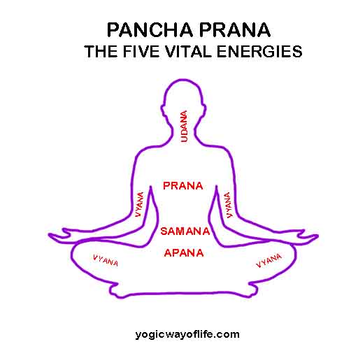 Pancha Prana Vayu - The Five Energy Flows in the body