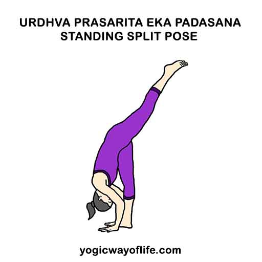 Urdhva Prasarita Eka Padasana - Standing Split Pose - Yogic Way of