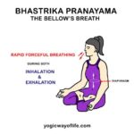 Bhastrika Pranayama - The Bellow's Breath - Yogic Way of Life