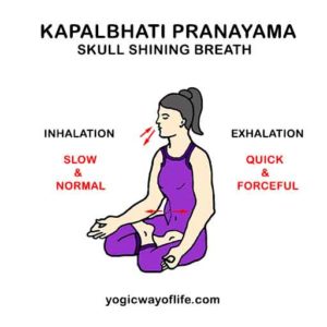 Kapalbhati Pranayama - The Skull Shining Breathing Exercise