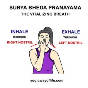 Surya Bheda Pranayama - The Vitalizing Breath