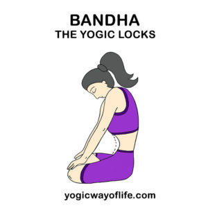 Bandha - The Yogic Locks