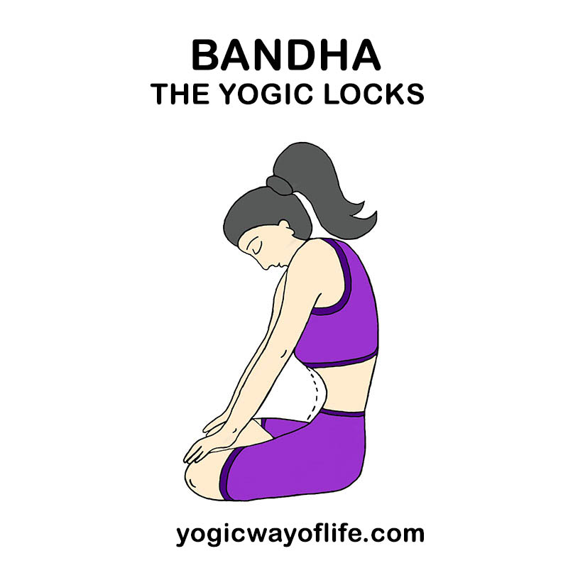 Bandha - The Yogic Locks