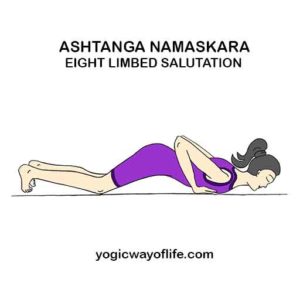 Ashtanga Namaskara - Eight Limbed Salutation - Yogic Way of Life