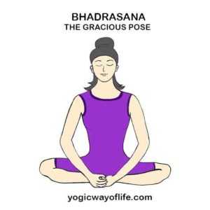 Bhadrasana - The Gracious Pose