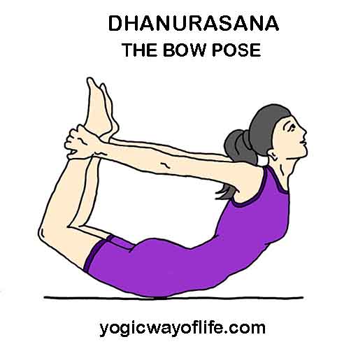 10 Yoga Asanas For Weight Loss