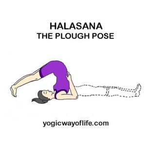 Halasana - The Plough Pose