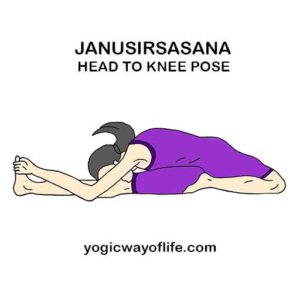 Janu Sirsasana - The Head To Knee Pose