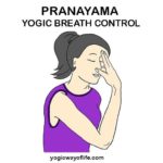 Pranayama - The Art and Science of Breath Control in Yoga