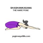 Shashankasana - The Hare Pose