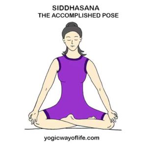 Siddhasana - The Accomplished Pose