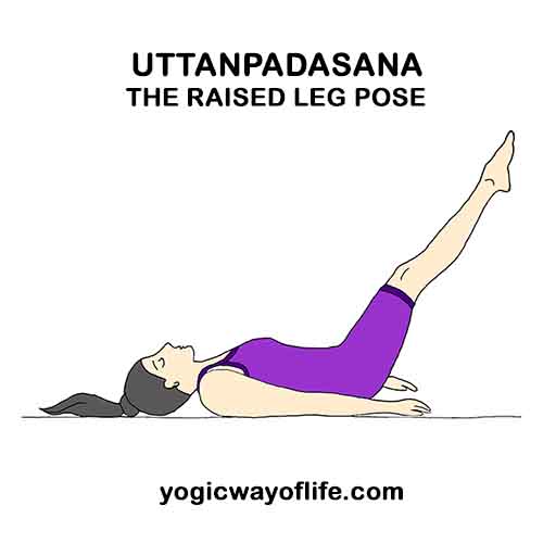 Uttasana or Padahastastana | HealthyLife | WeRIndia
