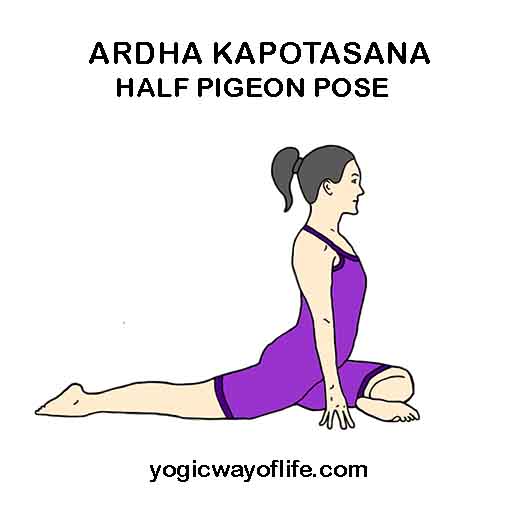 If Pigeon is your go-to pose when your hips feel tight, try this varia... |  TikTok
