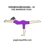 Virabhadrasana - The Warrior Pose