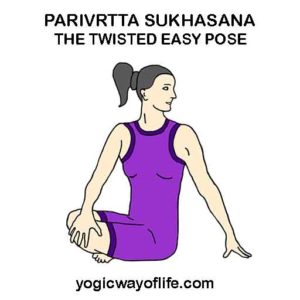 Parivrtta Sukhasana - The Easy Seated Twist Pose