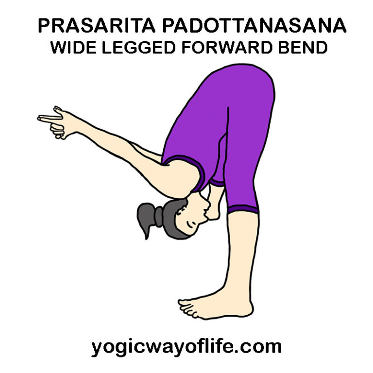 Prasarita Padottanasana - Wide Legged Forward Bend Pose - Yogic Way of Life