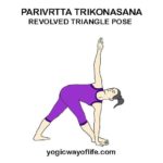 Parivrtta Trikonasana - Revolved Triangle Pose