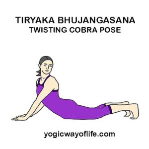 Tiryaka Bhujangasana - Twisting Cobra Pose