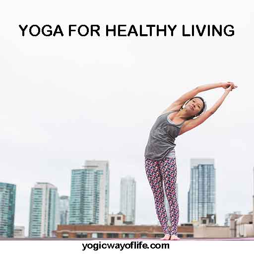 How Yoga Can Help You Live a Healthier Lifestyle