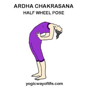 Ardha Chakrasana - Half Wheel Pose - Yogic Way of Life