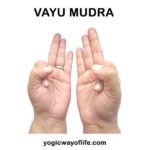 Vayu Mudra – The air regulating yogic hand gesture - Yogic Way of Life