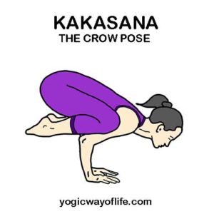 Kakasana - The Crow Pose - Yogic Way of Life