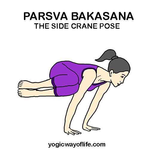 Yoga Pose: Crane | Pocket Yoga