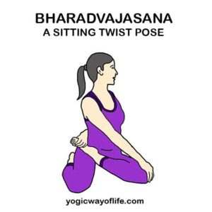 Bharadvajasana - Sage Bharadvaja's Seated Twist Pose - Yogic Way Of Life