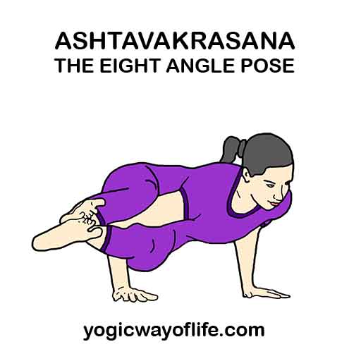 Ashtavakrasana - The Eight Angle Pose - Yogic Way of Life